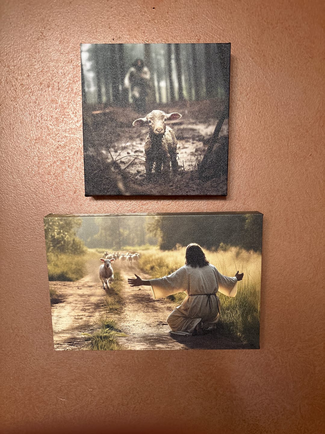 Customer photo review of Lamb Runs to Jesus Wall Art Canvas