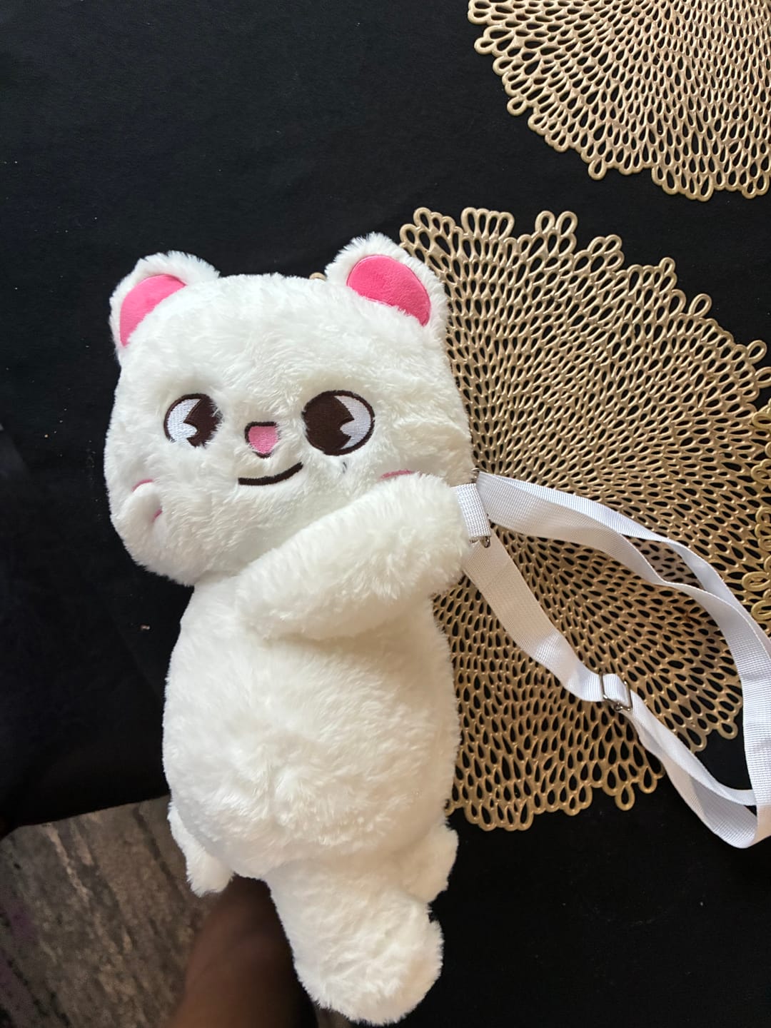 Customer photo review of SKZ dominATE:celebrATE Plush Bag
