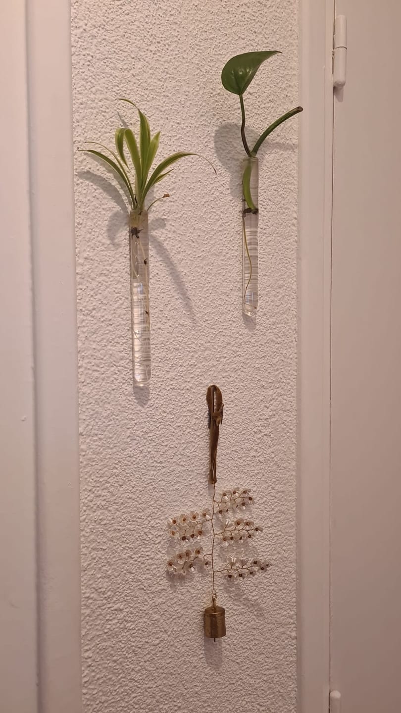 Customer photo review of Bell Ornament Almond Blossom