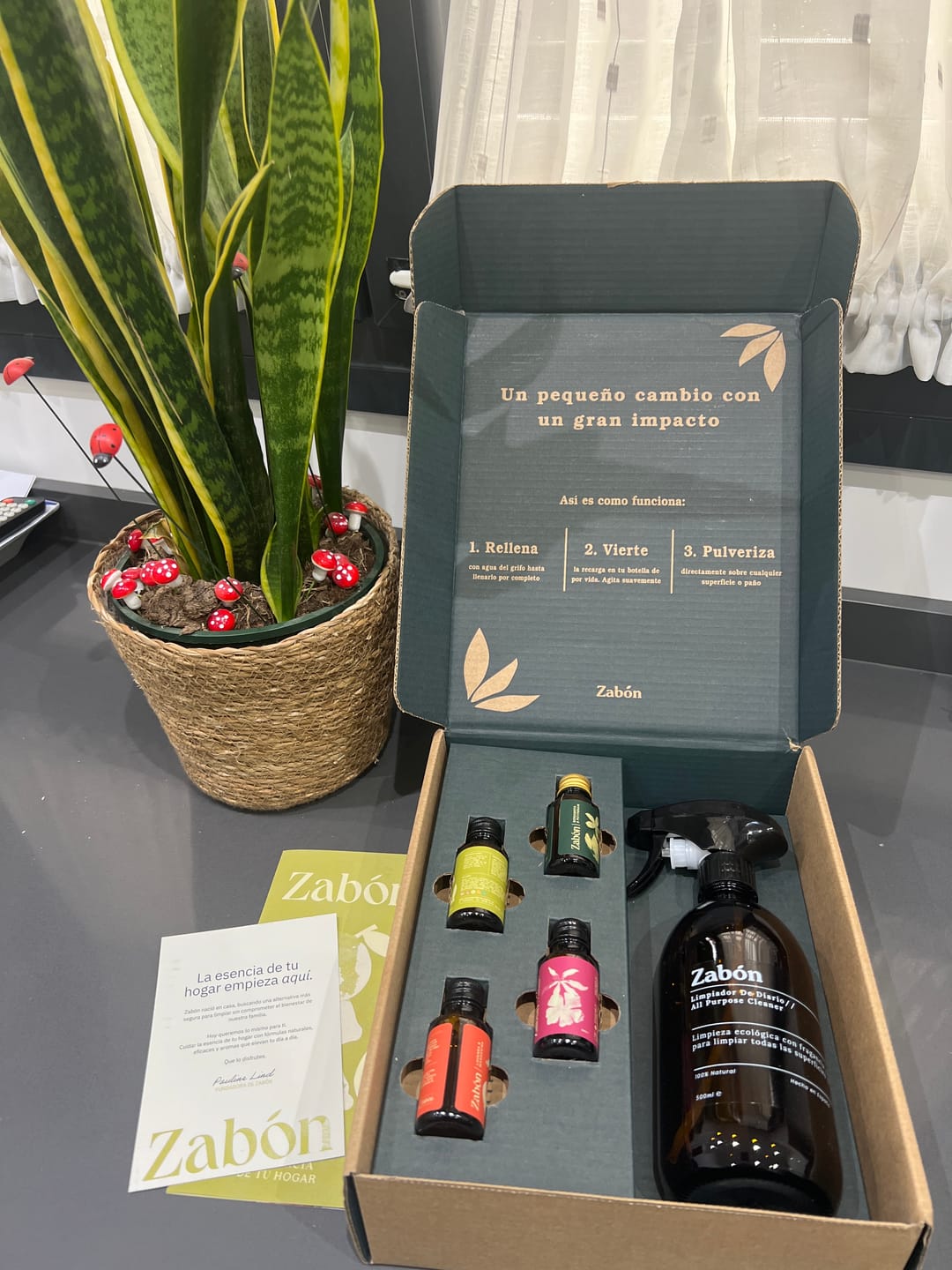 Customer photo review of Kit de Inicio Multiuso