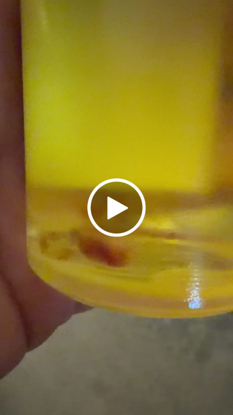 Customer video review of WATERMELON SUGAR BODY OIL
