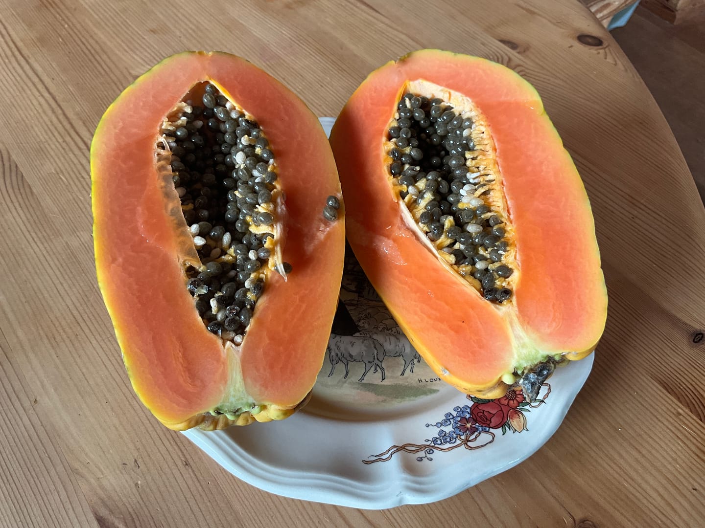 Customer photo review of Papaya Bio von Julian 4kg Box Sonderaktion %