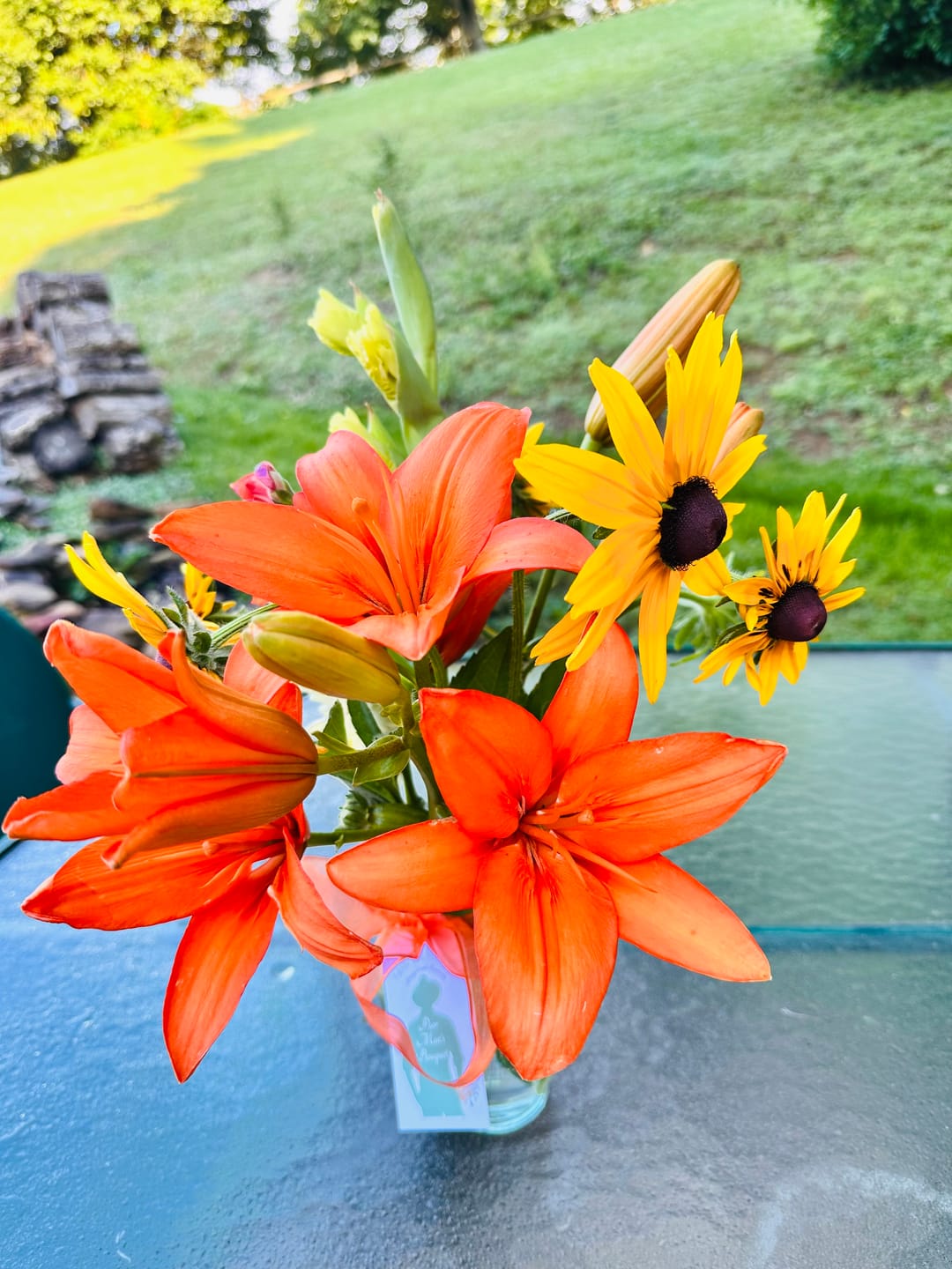 Customer photo review of Black-Eyed Susan, Prairie Sun