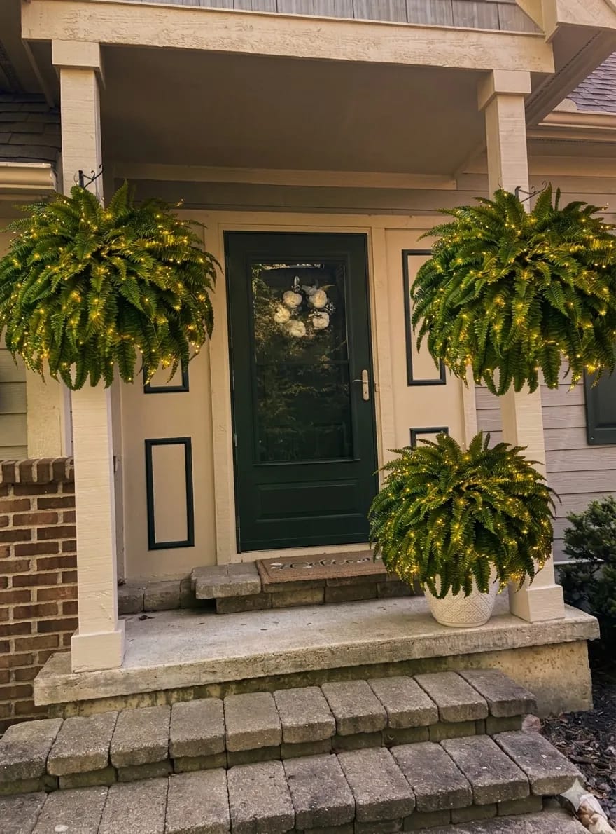 Customer photo review of 🔥Last Day 60% OFF🔥Oversized Pre-Lit Artificial Boston Ferns --No watering, No fading