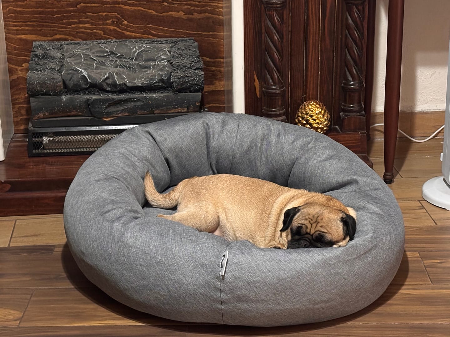 Customer photo review of Cama Antiestrés para Perros