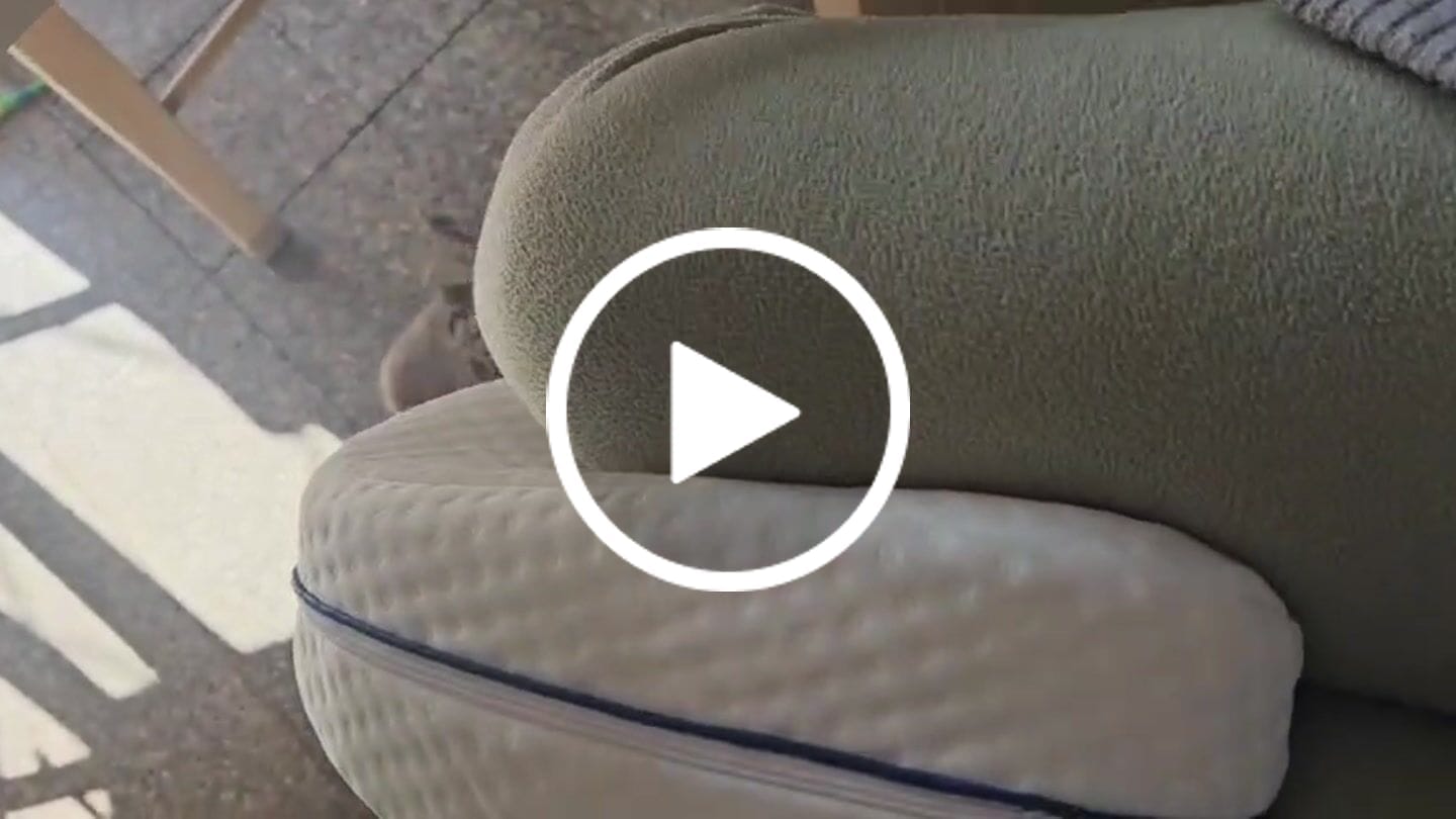 Customer video review of Almohada Para Piernas Y Rodillas Blanca