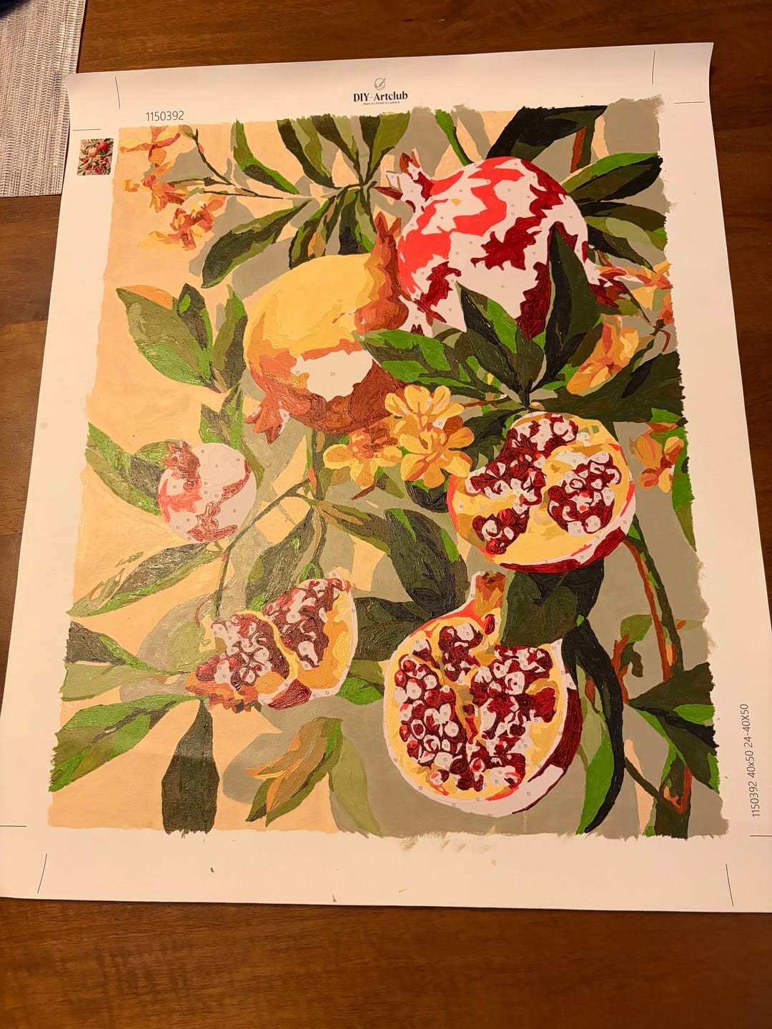 Customer photo review of Blooming pomegranates | Paint by Number