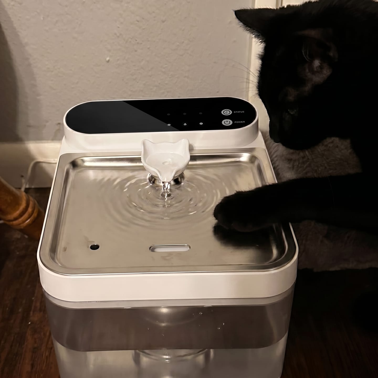 Customer photo review of Purestream AquaOne - Automatic Cat Fountain