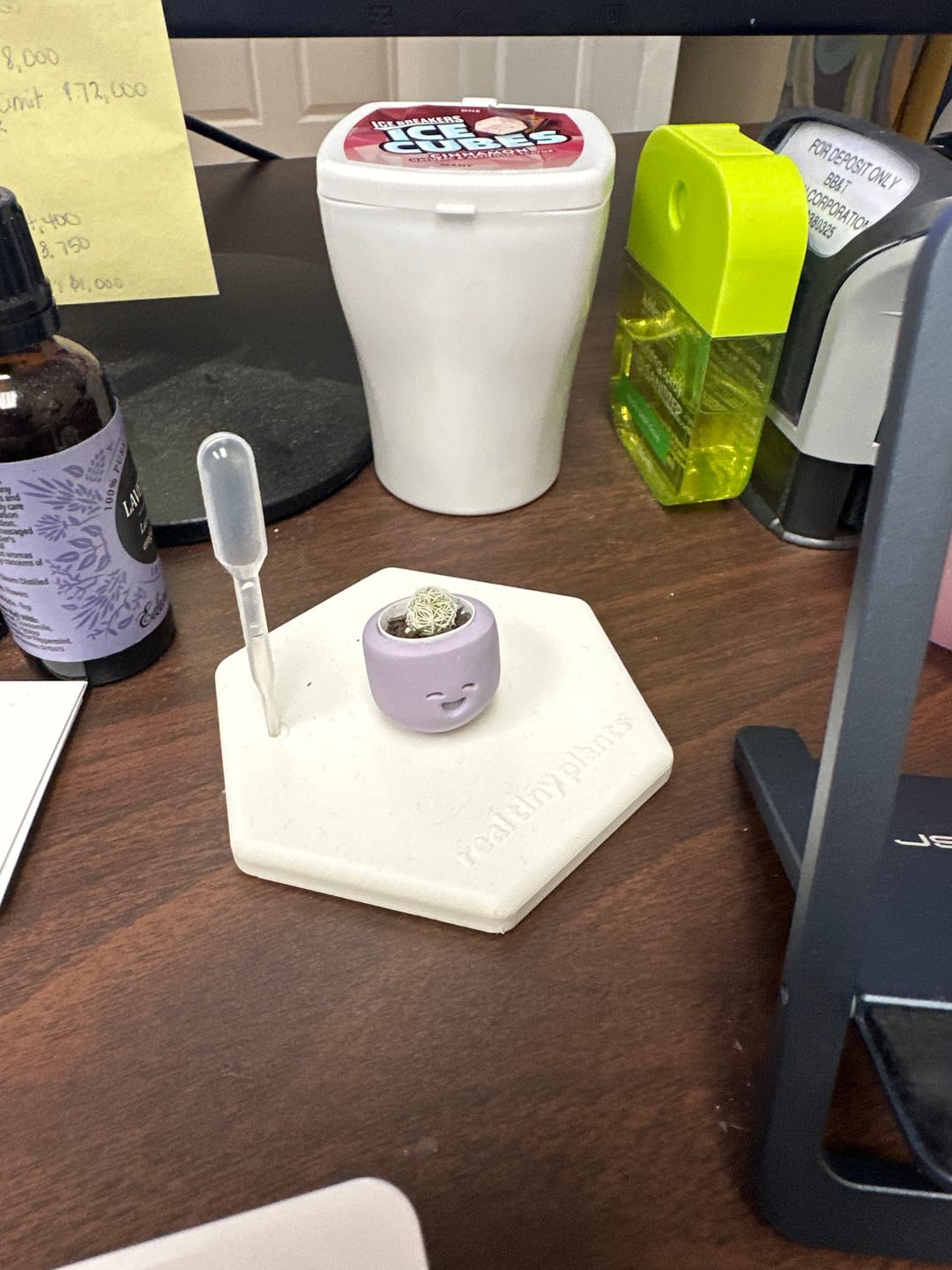 Customer photo review of Little Lavender