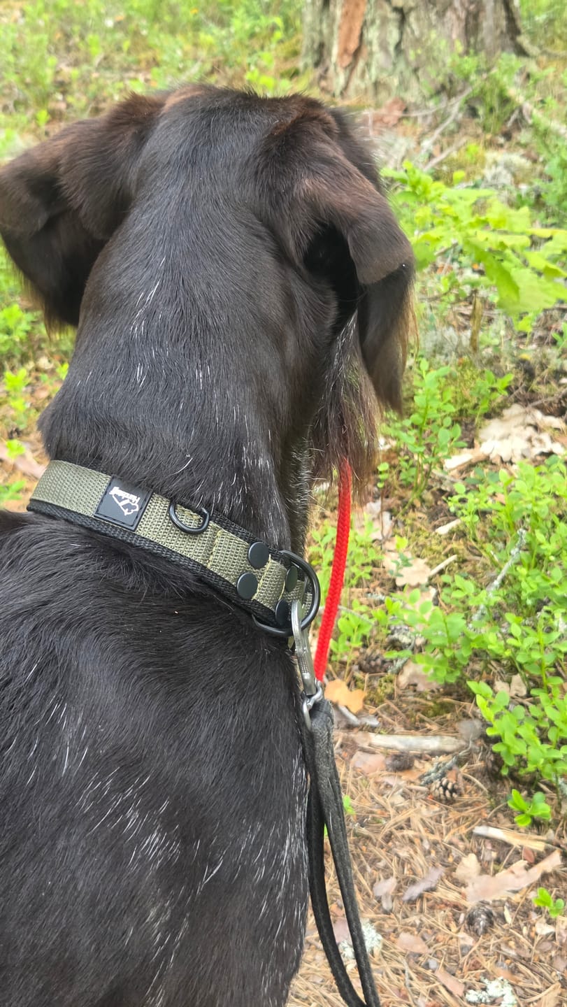 Customer photo review of Extreme Buckle Black Edition Khaki - Starkt och säkert halsband