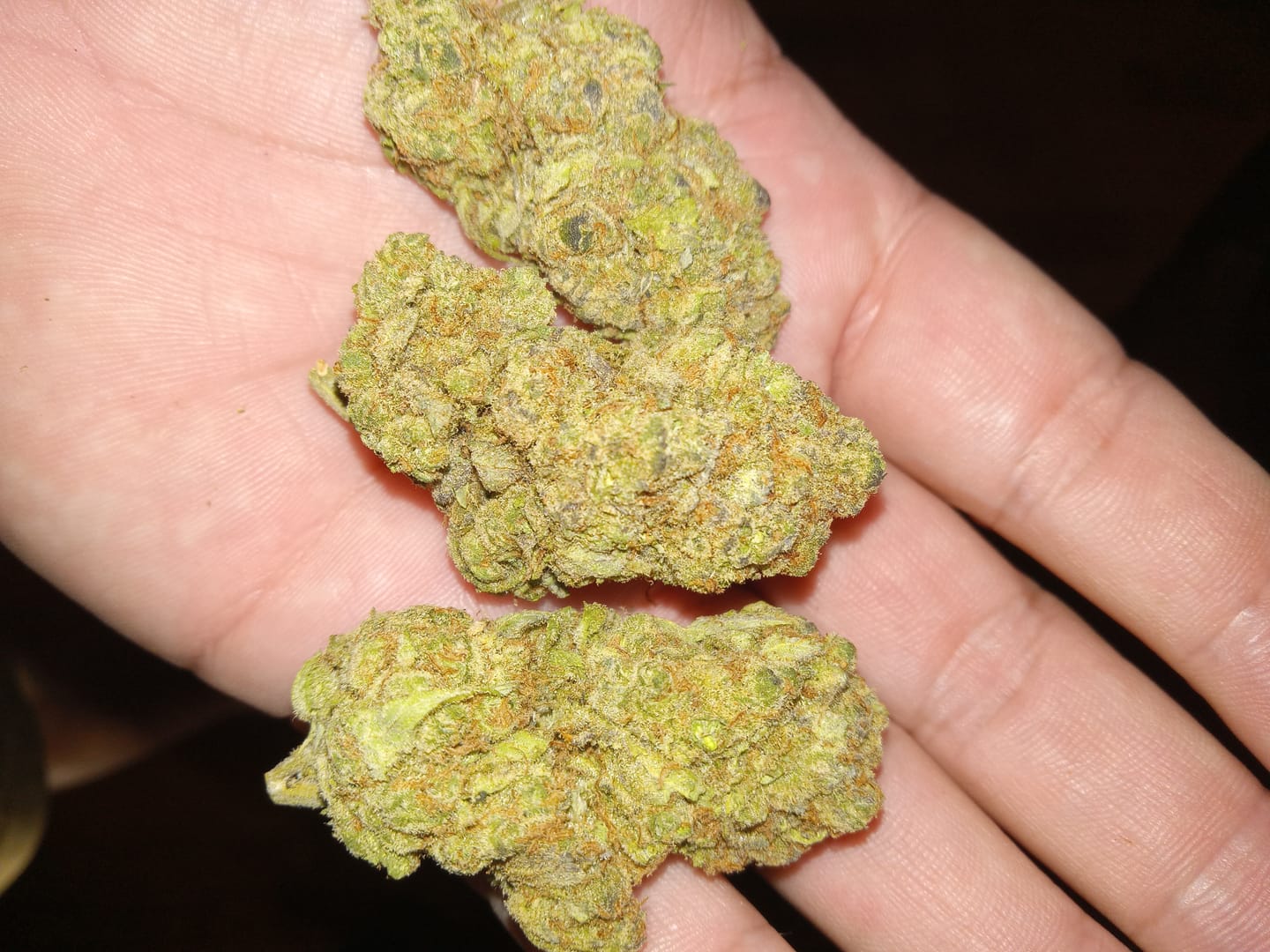 Customer photo review of Blueberry Syrup - Bulk - Indica