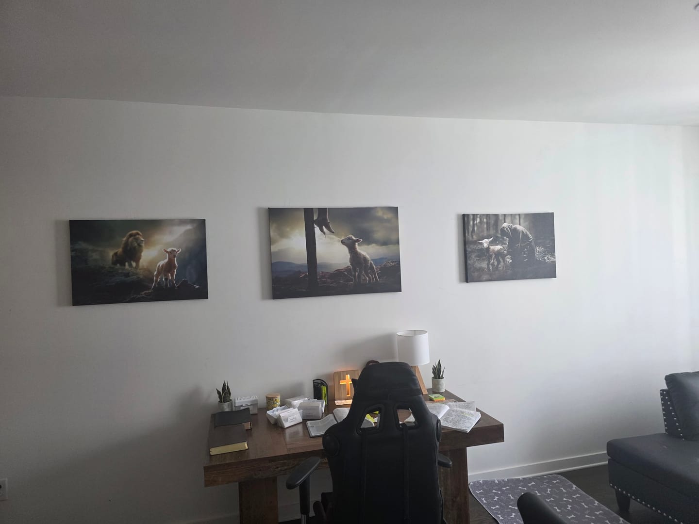 Customer photo review of Lamb Is Bold Because Lion Is Near Christian Wall Art Canvas