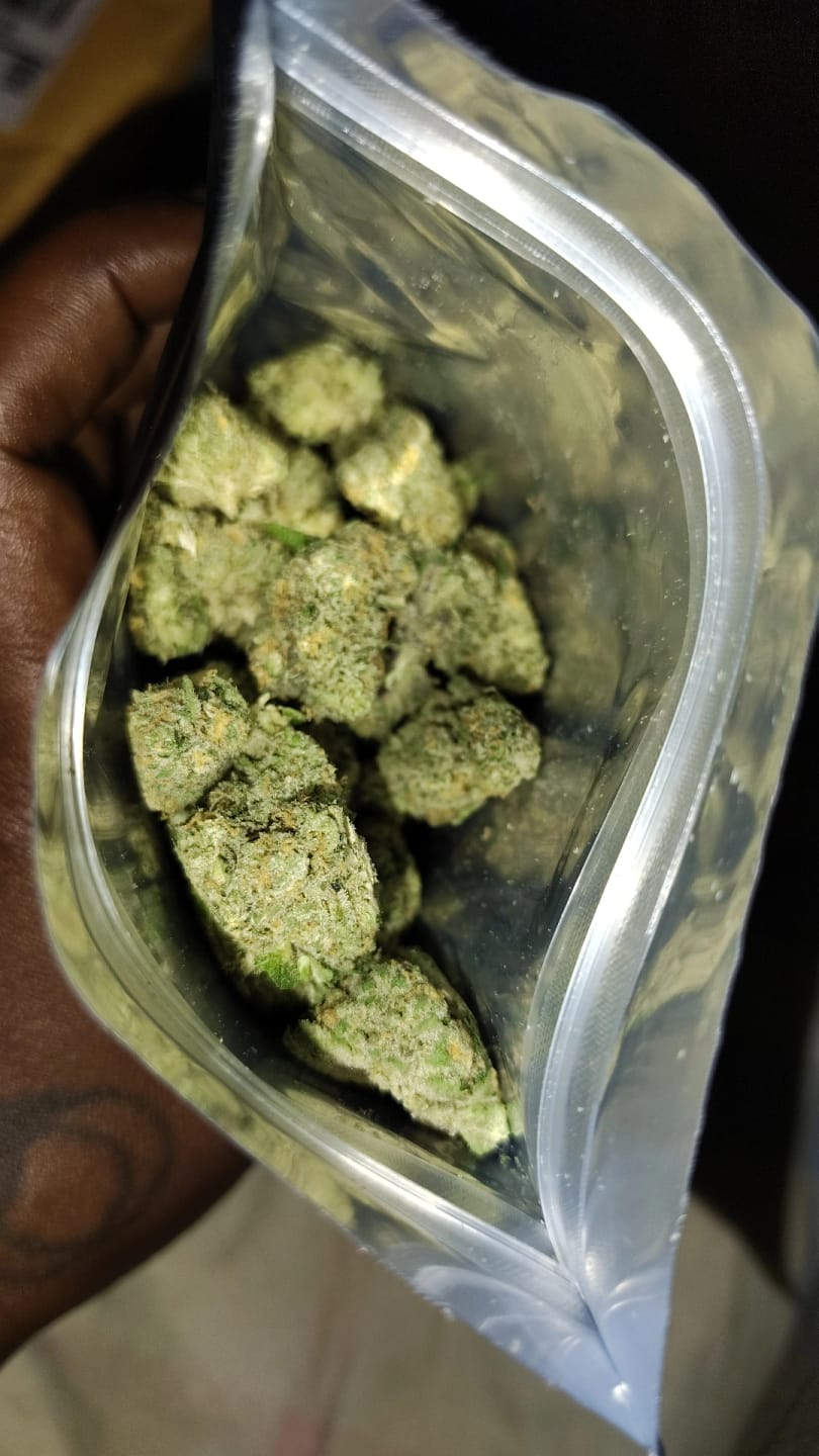 Customer photo review of Biscotti THCA Flower (Budget)