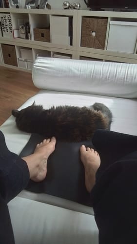 Customer photo review of The Only Grounding Sheet Built To Conduct For Life