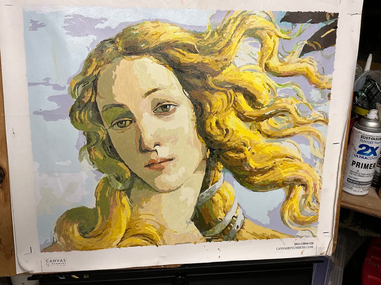 Customer photo review of Venus (detail)