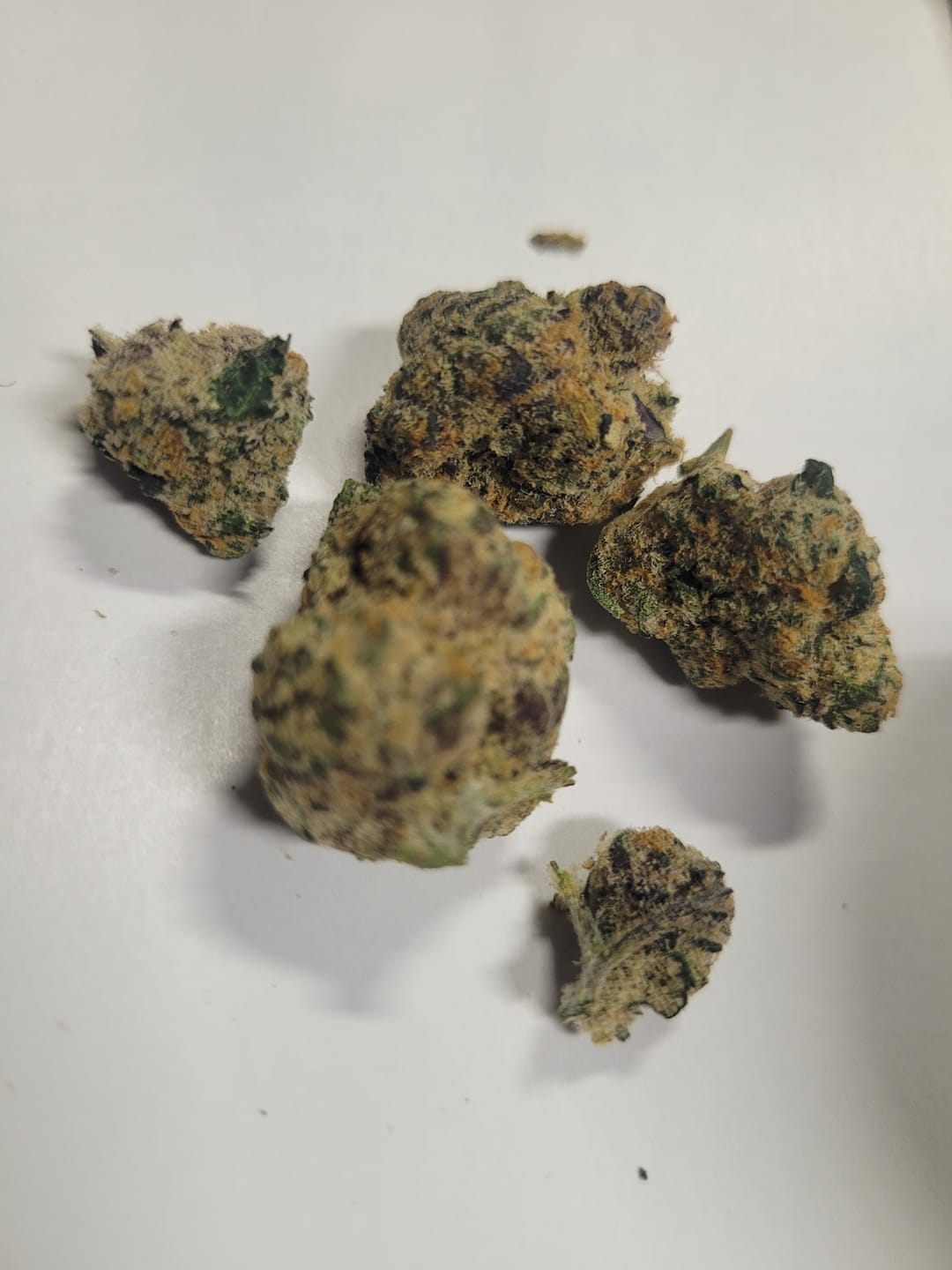 Customer photo review of Uncle Snoop