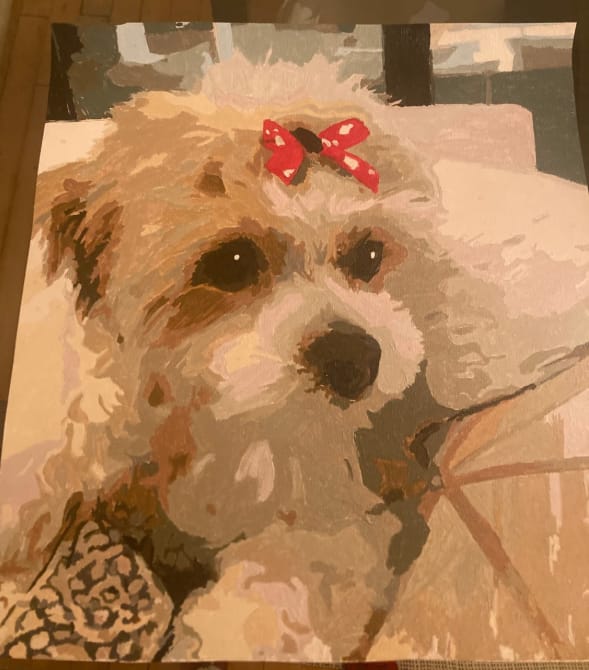 Customer photo review of Custom Paint By Numbers - Personalized Pet Portraits