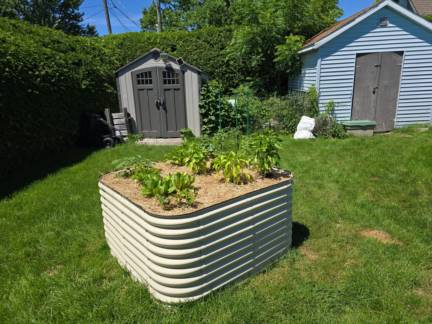 Customer photo review of 32" Tall Modular 9 in 1
