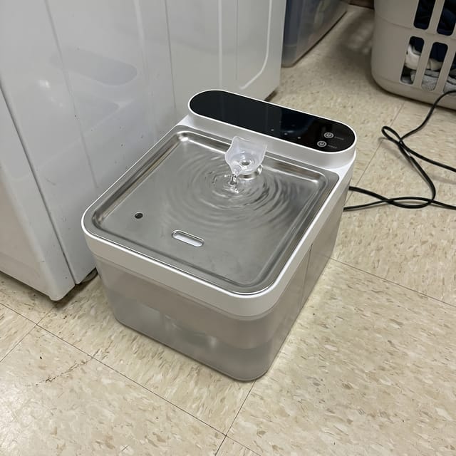 Customer photo review of Purestream AquaOne - Automatic Cat Fountain