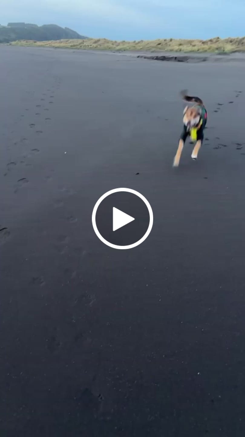 Customer video review of Chaqueta Impermeable de Lluvia - Verde