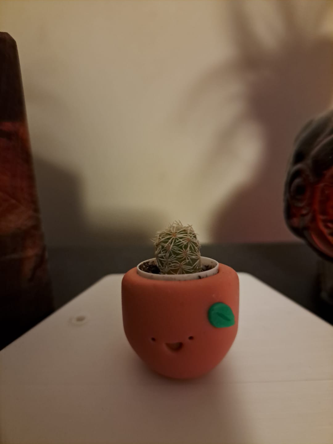 Customer photo review of Sweet Clementine