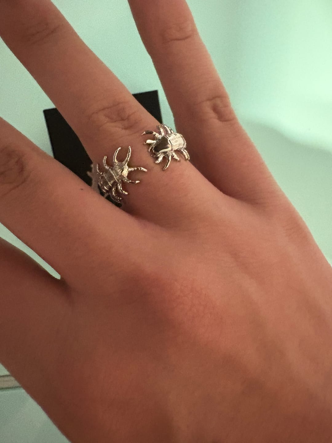 Customer photo review of CENTIPEDE RING