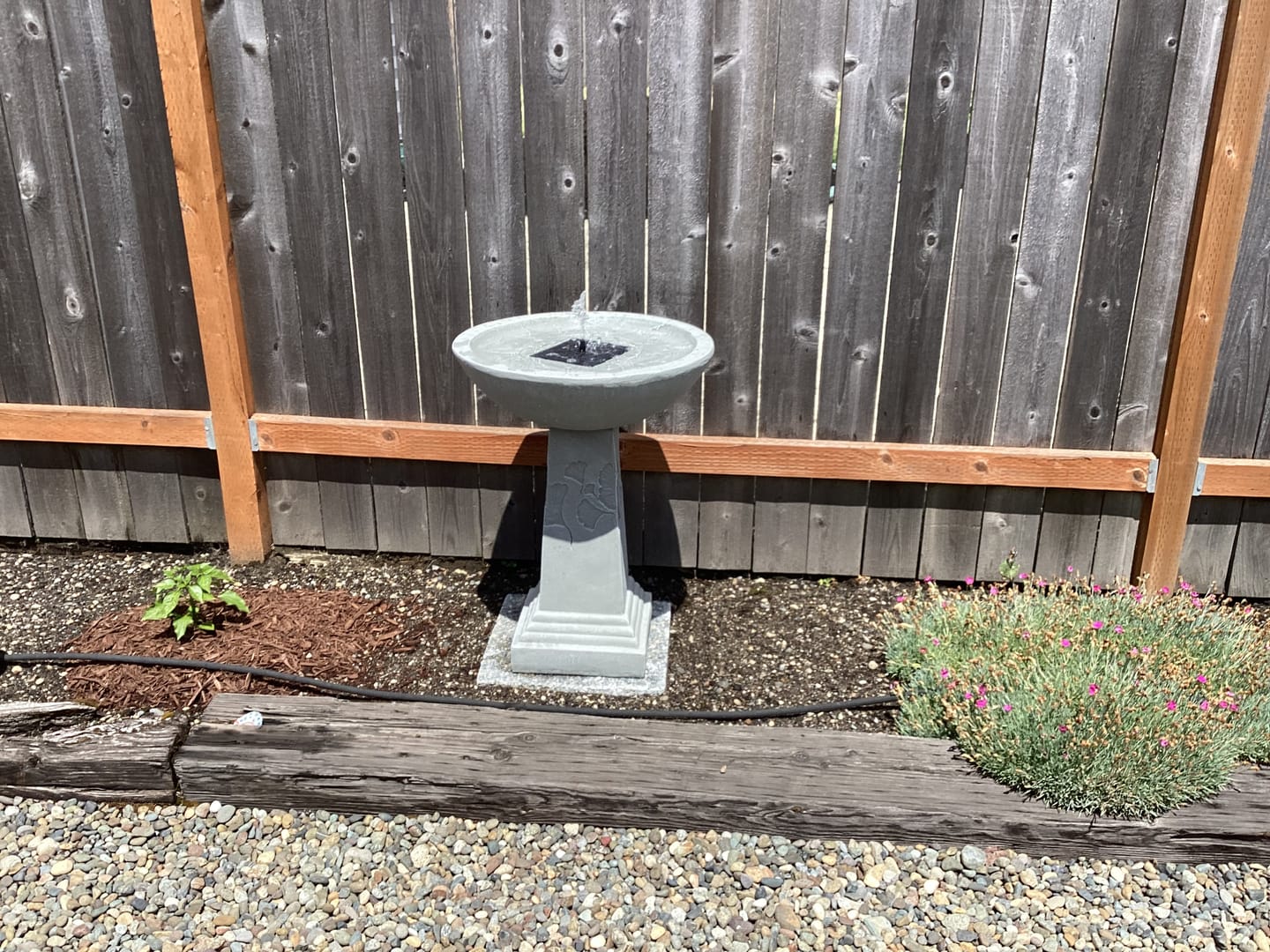 Customer photo review of Ginko Tall Solar Bird Bath