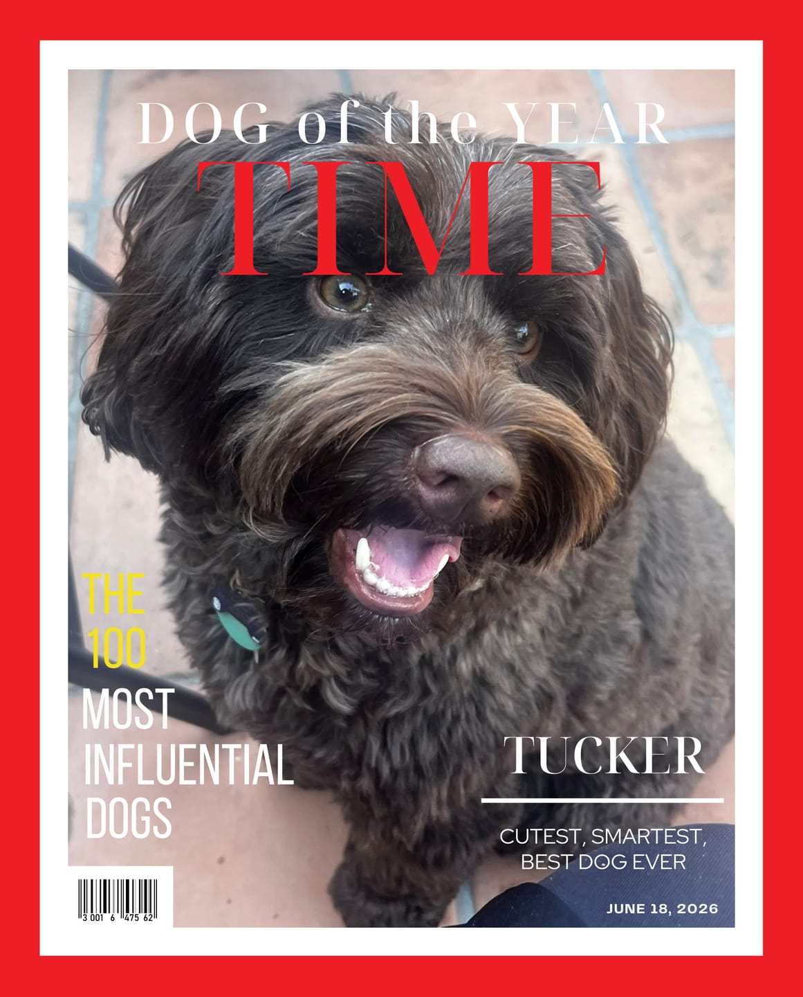 Customer photo review of Pet Portrait Magazine Cover