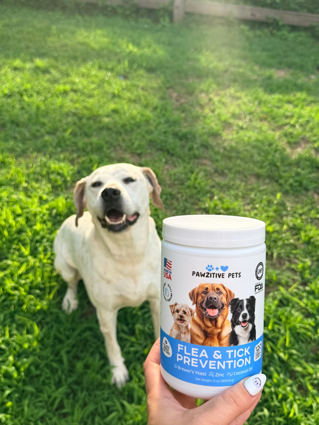 Customer photo review of Flea and Tick Prevention for Dogs – 120 Soft Chews
