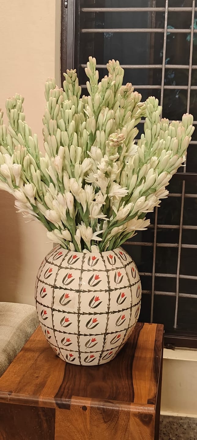 Customer photo review of Tube Roses "Rajnigandha"