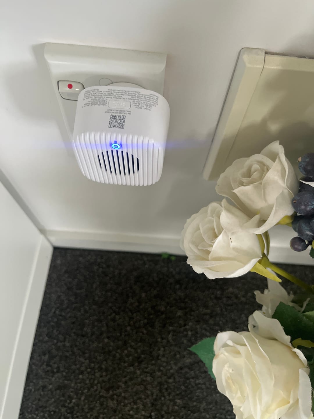 Customer photo review of eufy Video Doorbell Chime 2
