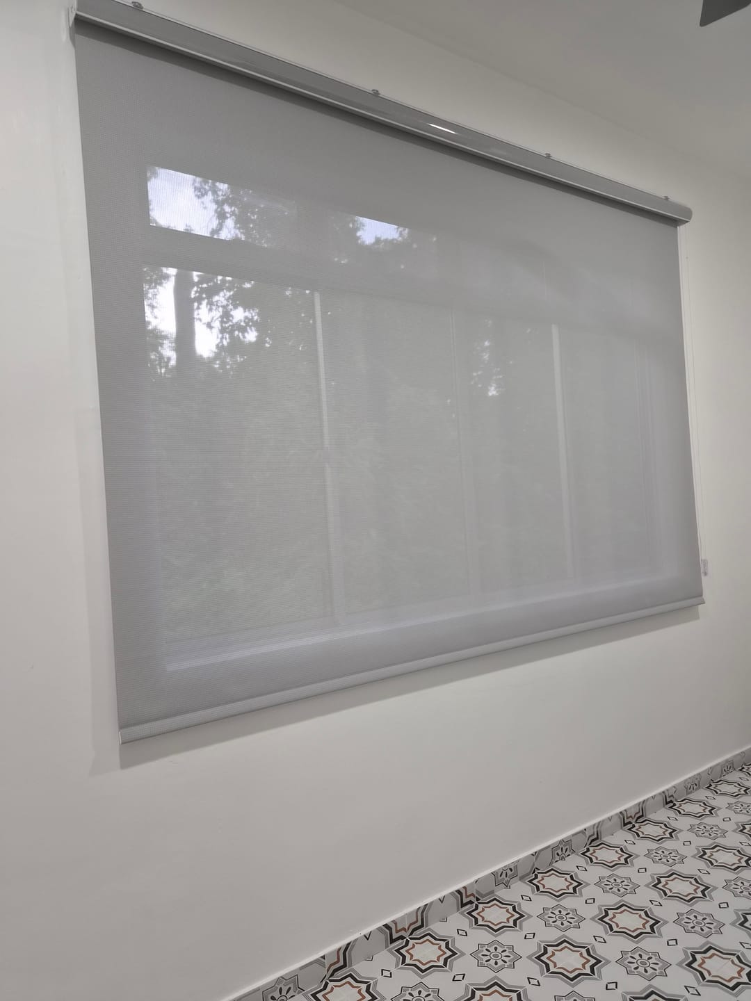 Customer photo review of Vina Signature Solar Sunscreen Blinds