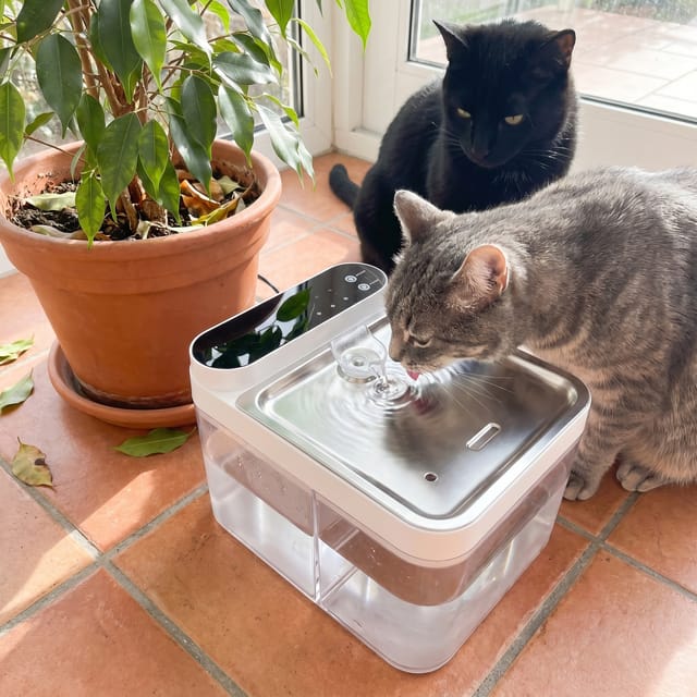 Customer photo review of Purestream AquaOne - Automatic Cat Fountain