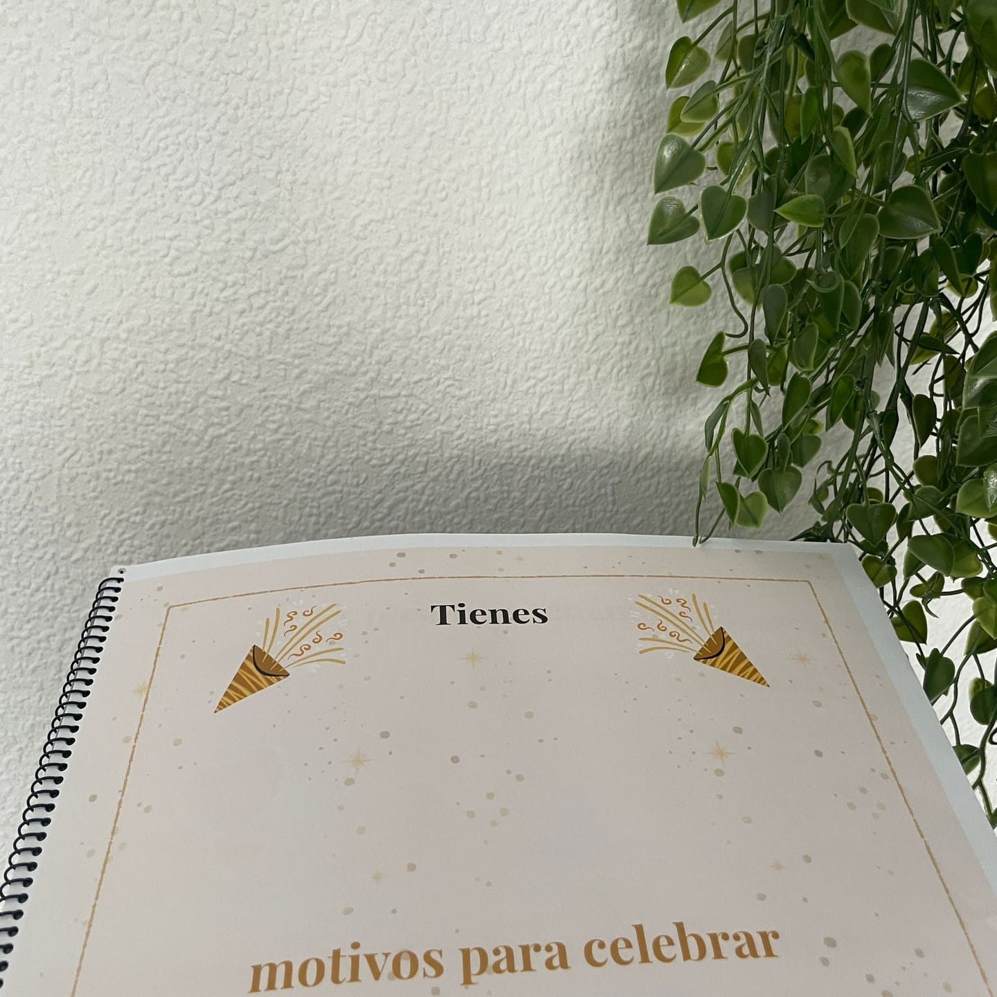 Customer photo review of Álbum de Cumpleaños Imprimible — Hijo/a