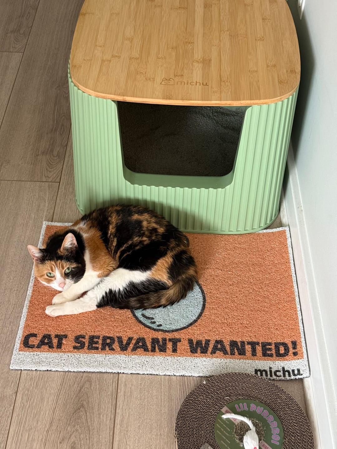 Customer photo review of Michu XXL Sage Deluxe Cat Litter Box - Spacious Design