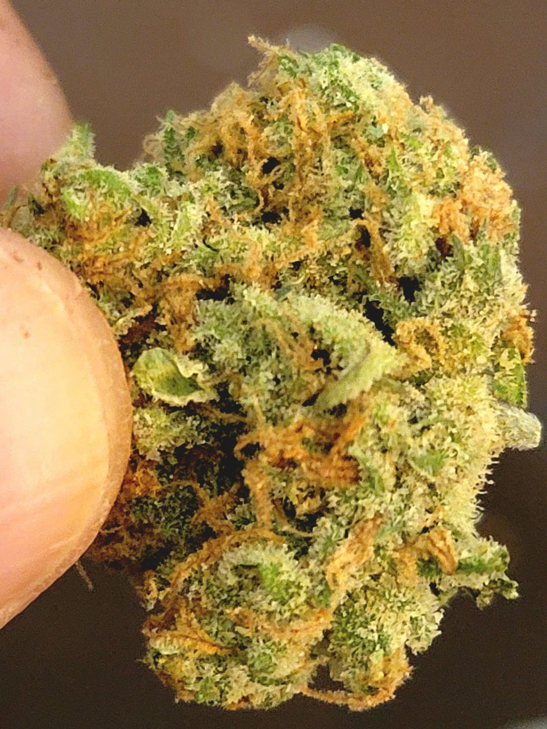 Customer photo review of Blueberry Syrup - 28 Grams - Indica