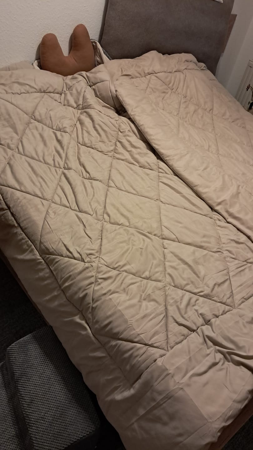 Customer photo review of EasySleep® Decke – Die schnelltrocknende 2-in-1 Bettdecke, die Bettwäsche überflüssig macht.