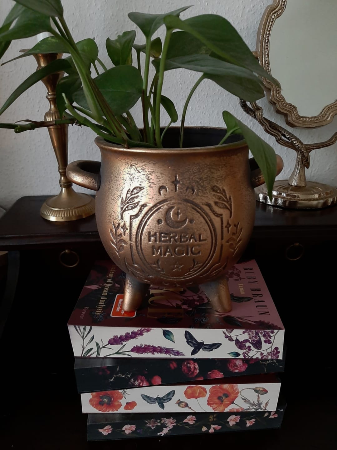 Customer photo review of Herbal Magic Kessel-Blumentopf – Terrakotta Pflanzenkessel in Bronzeoptik
