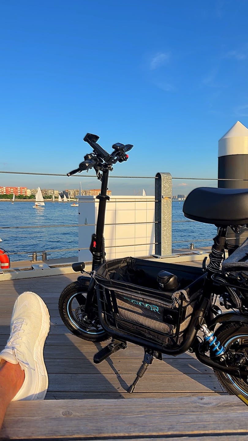 Customer photo review of Gyroor C1Plus 1000W Electric Scooter with Dual Baskets for Pets & Cargo