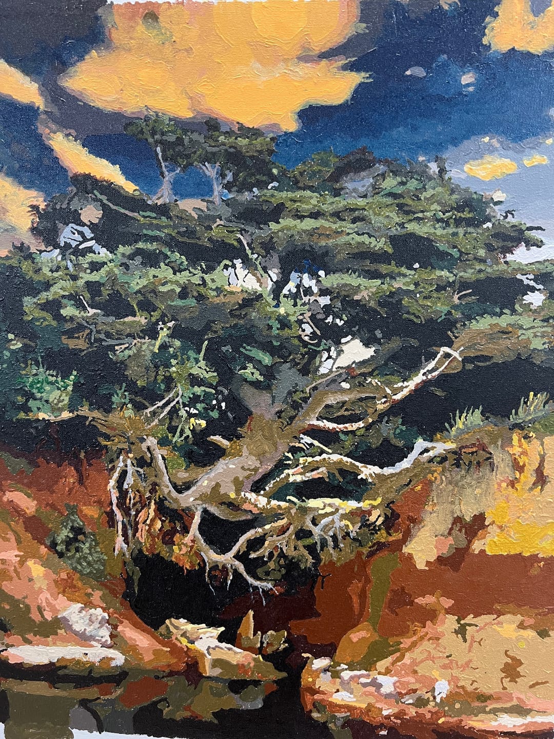 Customer photo review of Custom Paint By Numbers - Turn Trip Memory into Art