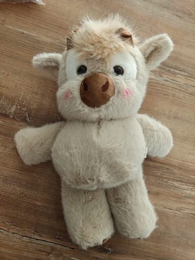 Customer photo review of Coco-Hug™ El peluche que corre