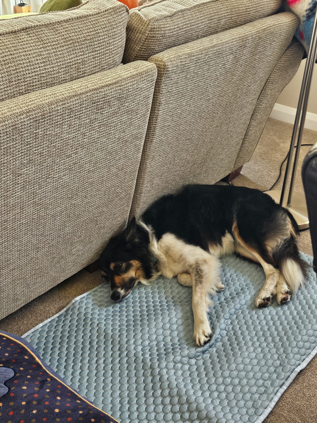 Customer photo review of Frostcore™ Cooling Mat 2 Pack