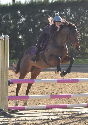 Customer photo review of Kincade Event/Hunt Breastplate