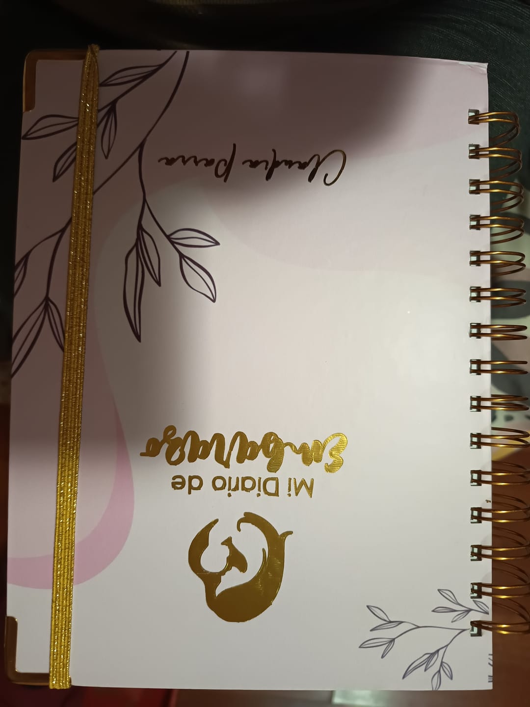 Customer photo review of Diario Único Mi Embarazo - Colorful