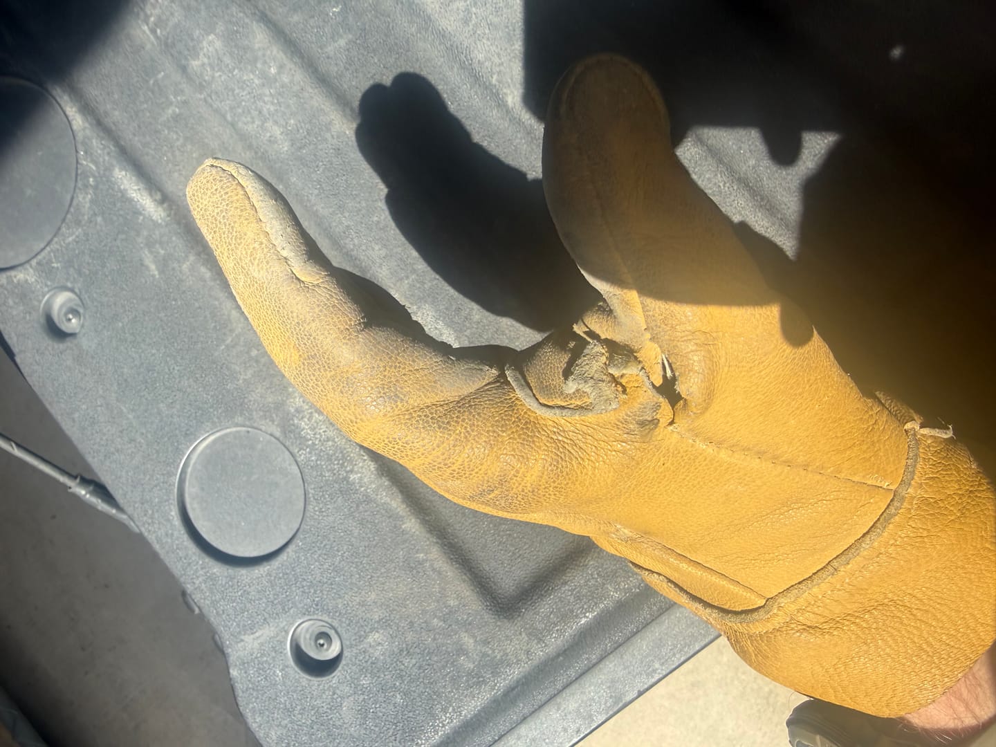 Customer photo review of Flatlander