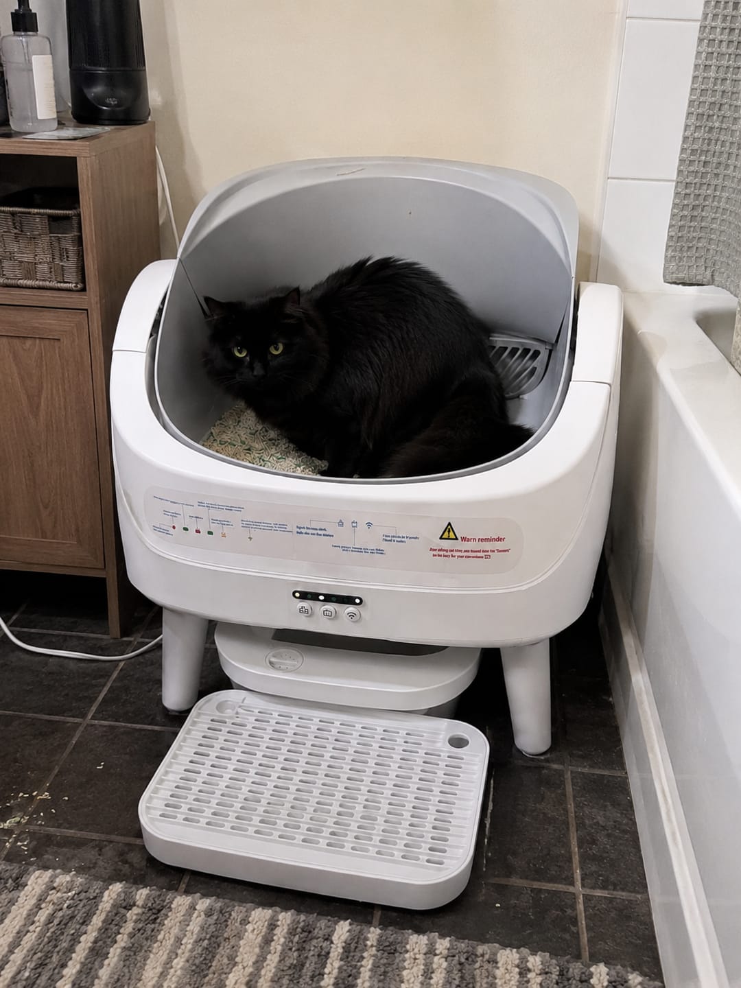 Customer photo review of Petbuds™ Open One 2026 Open-Top Self-Cleaning Litter Box