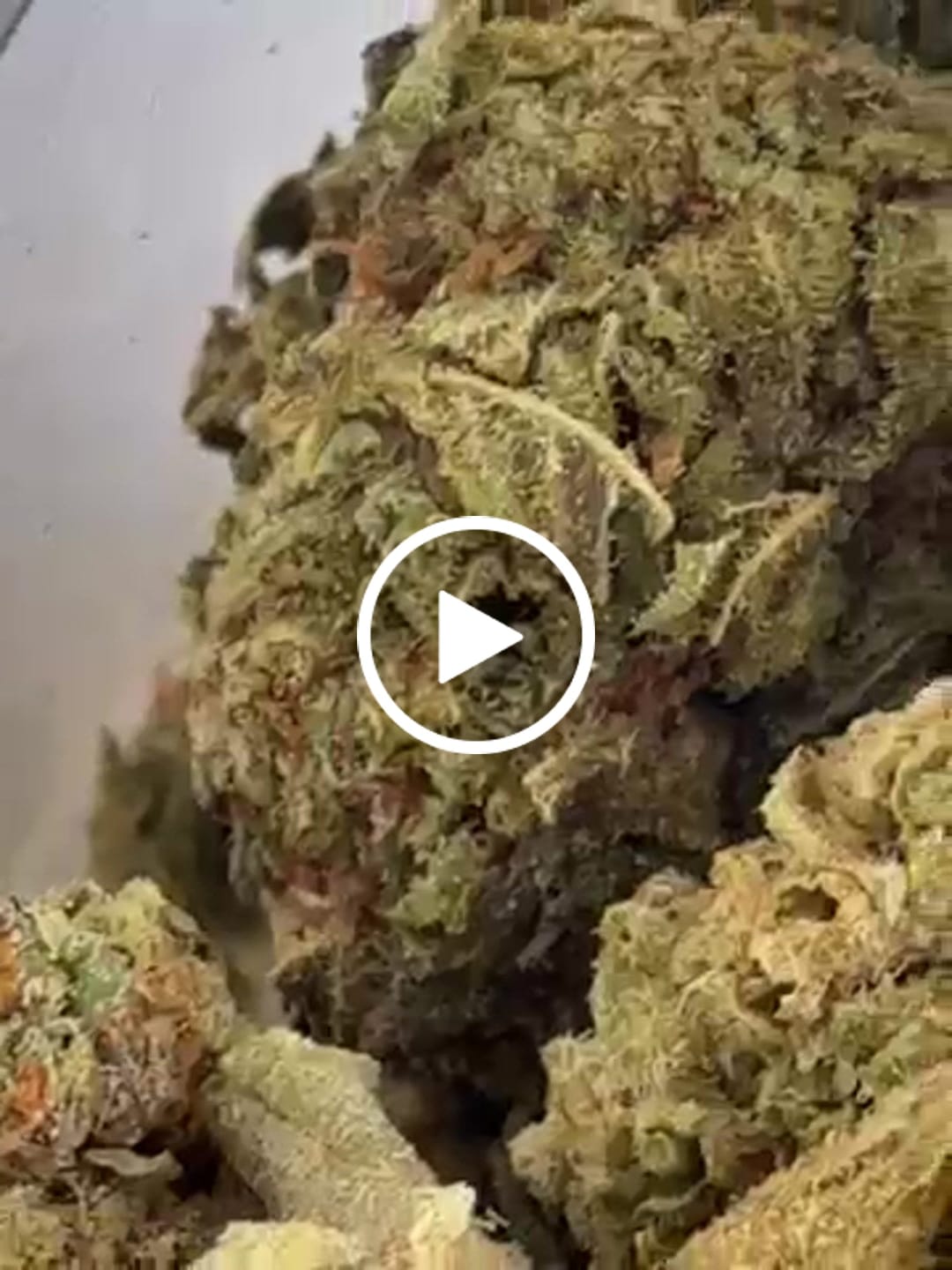 Customer video review of CALI MIX AAA+ – Premium Selection
