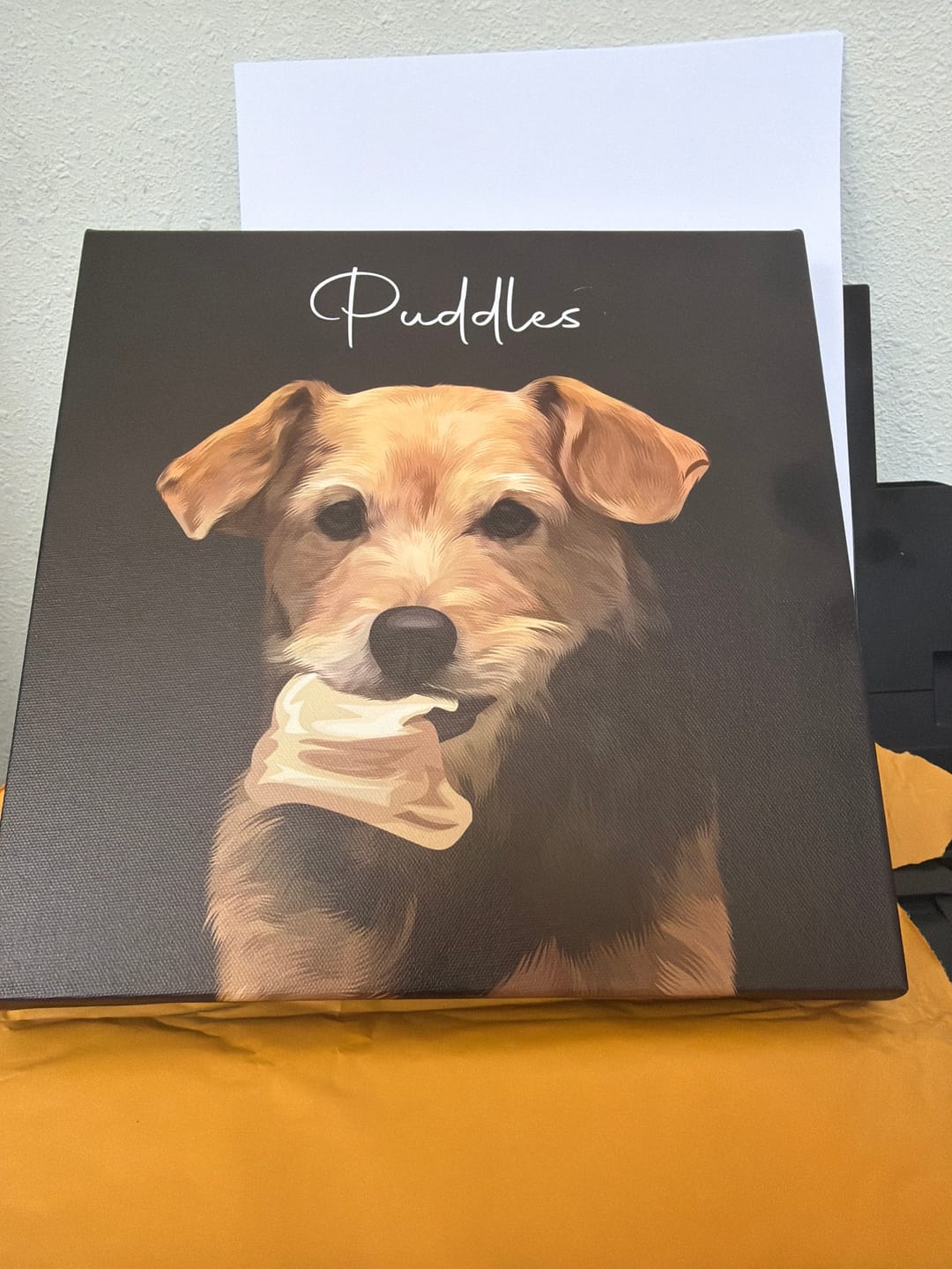Customer photo review of Pet Art Canvas Wrap
