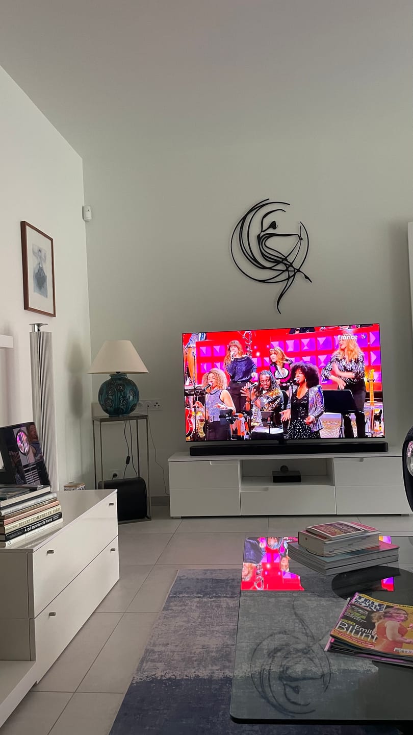 Customer photo review of Décoration Murale en Métal - L'Âme de la Danse