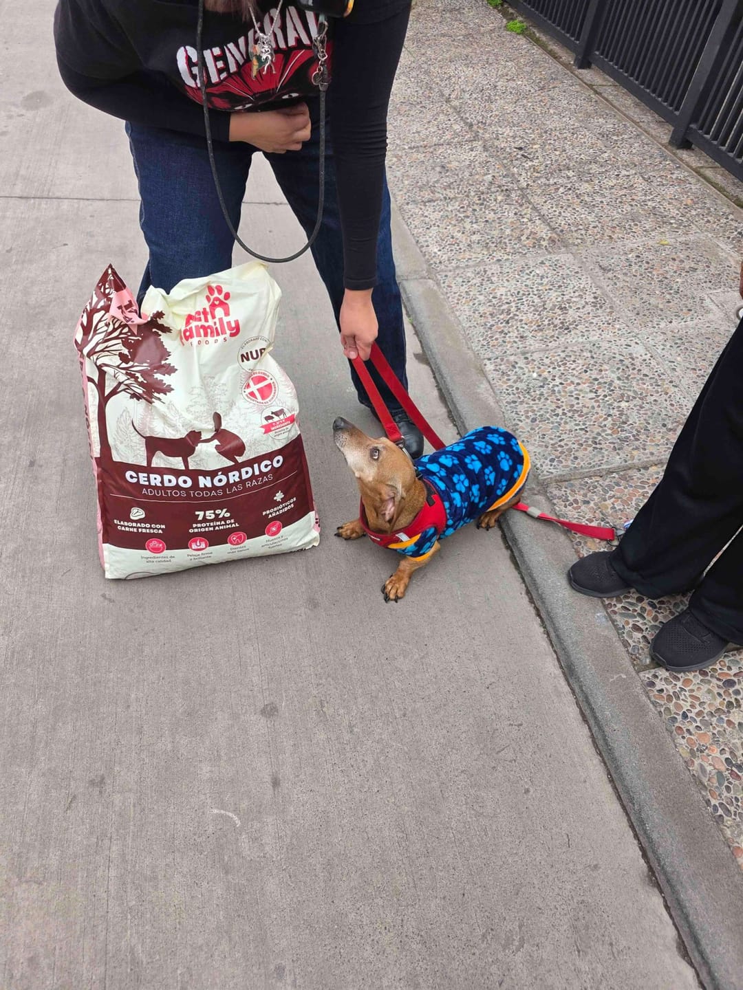 Customer photo review of PetFamily Foods Cerdo Nordico